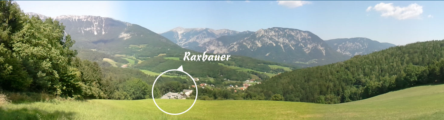 Raxbauer